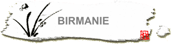 BIRMANIE