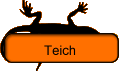 Teich