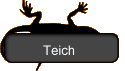 Teich