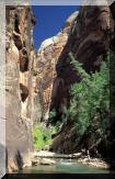 zion.jpg